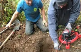Several men digging a hole thru tree roots.